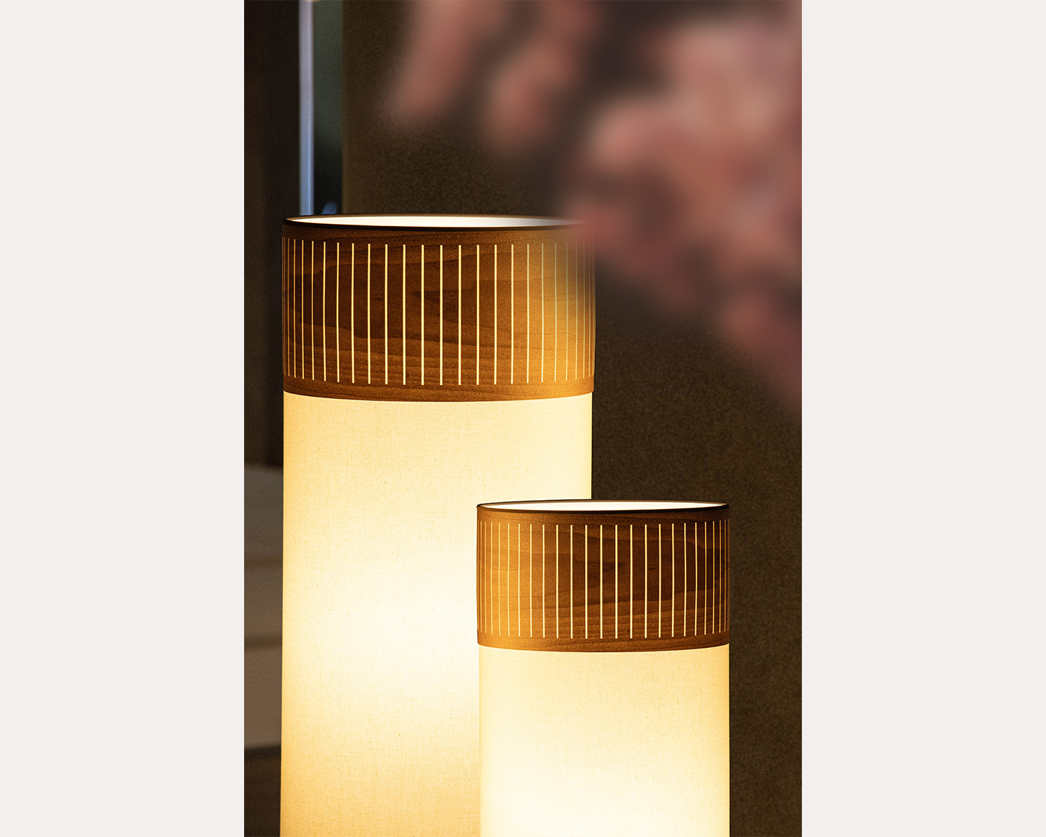 TAMIZ-L_AMBIENT_2_HIGH_RES